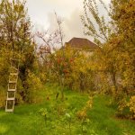 Kirayə (aylıq) 8 otaqlı Həyət evi/villa, Əhmədli, Xətai rayonu 4