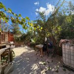 Satılır 3 otaqlı Həyət evi/villa, Ramana qəs., Sabunçu rayonu 4