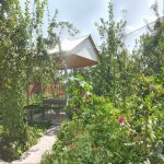 Kirayə (günlük) 2 otaqlı Həyət evi/villa İsmayıllı 5