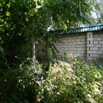 Satılır Torpaq Qəbələ 4