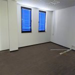 Kirayə (aylıq) 8 otaqlı Ofis, Nəsimi rayonu 13