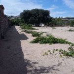 Satılır 2 otaqlı Bağ evi, Fatmayi, Abşeron rayonu 9