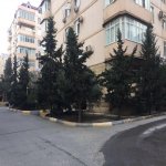 Аренда 4 комнатная Новостройка, м. Хетаи метро, Хетаи район 16