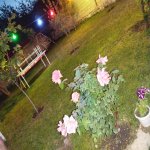 Kirayə (günlük) 4 otaqlı Həyət evi/villa Qəbələ 10