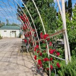Kirayə (aylıq) 4 otaqlı Bağ evi, Suraxanı rayonu 5