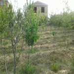 Satılır 7 otaqlı Bağ evi Sumqayıt 8