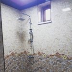 Kirayə (günlük) 5 otaqlı Həyət evi/villa Lerik 20