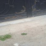 Satılır 4 otaqlı Həyət evi/villa Sumqayıt 13