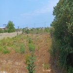 Satılır Torpaq, Kürdəxanı qəs., Sabunçu rayonu 1