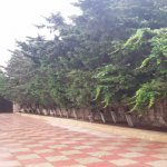 Kirayə (aylıq) 6 otaqlı Bağ evi, Buzovna, Xəzər rayonu 3