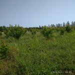 Satılır Torpaq Xaçmaz 2