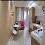 Kirayə (aylıq) 3 otaqlı Yeni Tikili, Nəriman Nərimanov metrosu, Nərimanov rayonu 9