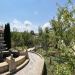 Satılır 7 otaqlı Həyət evi/villa Şamaxı 4