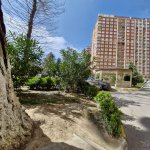 Аренда 2 комнат Новостройка, м. Мемар Аджеми метро, 2-ой микрорайон, Московский Универмаг, Насими район 14