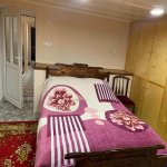 Satılır 7 otaqlı Həyət evi/villa Şəmkir 10