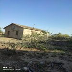 Satılır 3 otaqlı Həyət evi/villa, Goradil, Abşeron rayonu 6