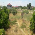 Satılır Torpaq, Saray, Abşeron rayonu 7