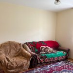 Kirayə (günlük) 3 otaqlı Bağ evi İsmayıllı 8