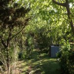 Satılır 3 otaqlı Həyət evi/villa, Əhmədli metrosu, Əhmədli, Xətai rayonu 6