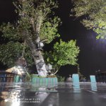 Kirayə (aylıq) Obyekt, Avtovağzal metrosu, Yasamal rayonu 11