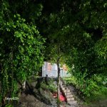 Kirayə (günlük) 3 otaqlı Bağ evi İsmayıllı 12