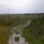 Satılır Torpaq Şabran 8