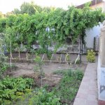 Kirayə (aylıq) 3 otaqlı Həyət evi/villa, Buzovna, Xəzər rayonu 7