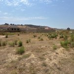Satılır Torpaq, Saray, Abşeron rayonu 5