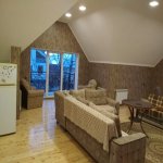 Kirayə (günlük) 4 otaqlı Həyət evi/villa Qəbələ 9