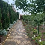 Kirayə (aylıq) 5 otaqlı Bağ evi, Mərdəkan, Xəzər rayonu 8