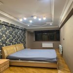 Аренда 2 комнатная Вторичка, м. Эльмляр Академиясы метро, Ясамал район 6