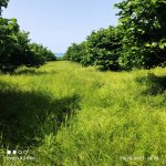 Продажа Участок Гябяля 5