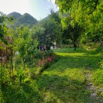 Kirayə (günlük) 4 otaqlı Həyət evi/villa Qax 20