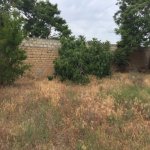 Satılır Torpaq, Mərdəkan, Xəzər rayonu 6