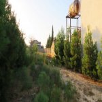Satılır Torpaq, Novxanı, Abşeron rayonu 3