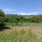 Satılır Torpaq İsmayıllı 5