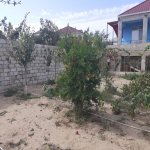 Satılır 4 otaqlı Bağ evi, Bilgəh qəs., Sabunçu rayonu 9
