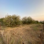 Satılır Torpaq, Koroğlu metrosu, Nardaran qəs., Sabunçu rayonu 2