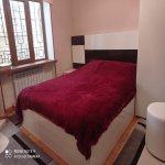 Satılır 12 otaqlı Həyət evi/villa Şamaxı 7