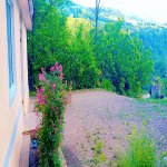 Kirayə (günlük) 3 otaqlı Həyət evi/villa Lerik 10