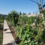 Satılır 6 otaqlı Həyət evi/villa, Buzovna, Xəzər rayonu 46