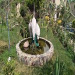 Kirayə (aylıq) 6 otaqlı Bağ evi, Bilgəh qəs., Sabunçu rayonu 5