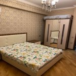 Kirayə (aylıq) 2 otaqlı Yeni Tikili, 28 May metrosu, Nəsimi rayonu 15