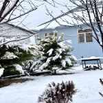 Kirayə (günlük) 4 otaqlı Bağ evi İsmayıllı 11