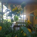 Kirayə (günlük) 3 otaqlı Həyət evi/villa İsmayıllı 2