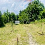 Посуточно 3 комнат Дома/Виллы Исмаиллы 5