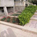 Kirayə (aylıq) 5 otaqlı Bağ evi, Mərdəkan, Xəzər rayonu 7