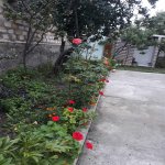 Kirayə (günlük) 3 otaqlı Həyət evi/villa Şəki 7