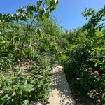 Продажа 6 комнатная Дома/Виллы, Новханы, Абшерон район 12