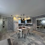 Kirayə (aylıq) 1 otaqlı Yeni Tikili, 28 May metrosu, Nəsimi rayonu 3